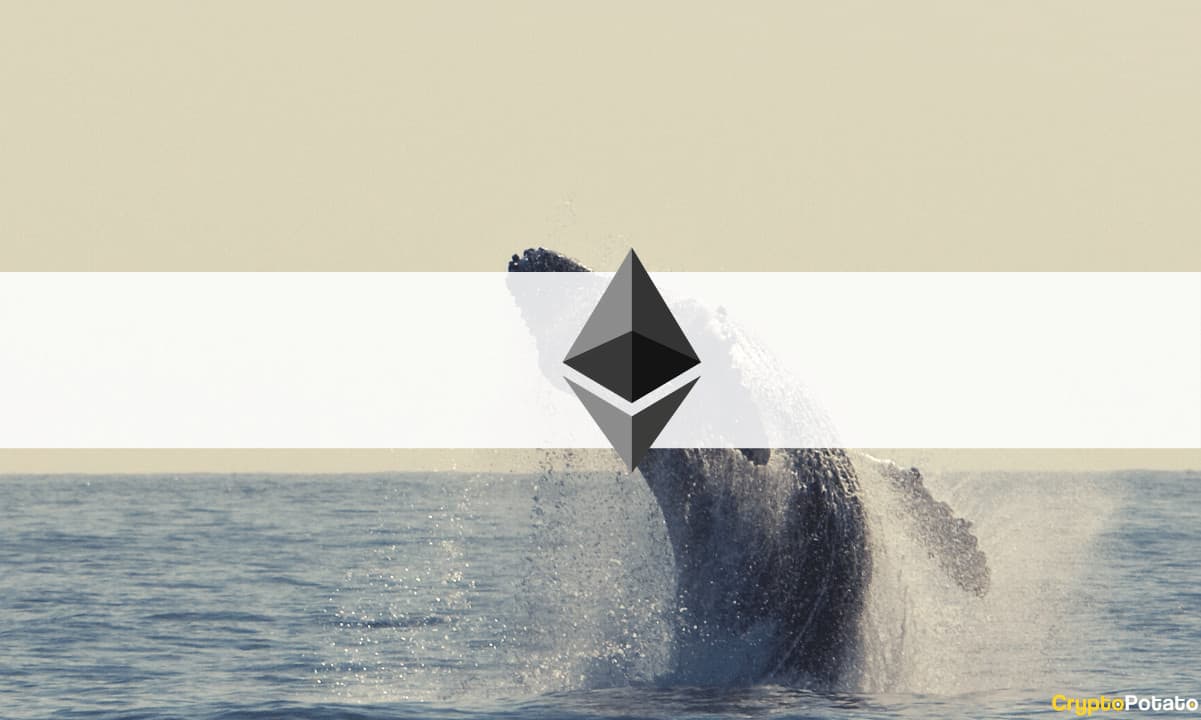 Ethereum ICO Katılımcısı, 8 Yıl Sonra ETH'de 4,42 Milyon Dolara Uyandı