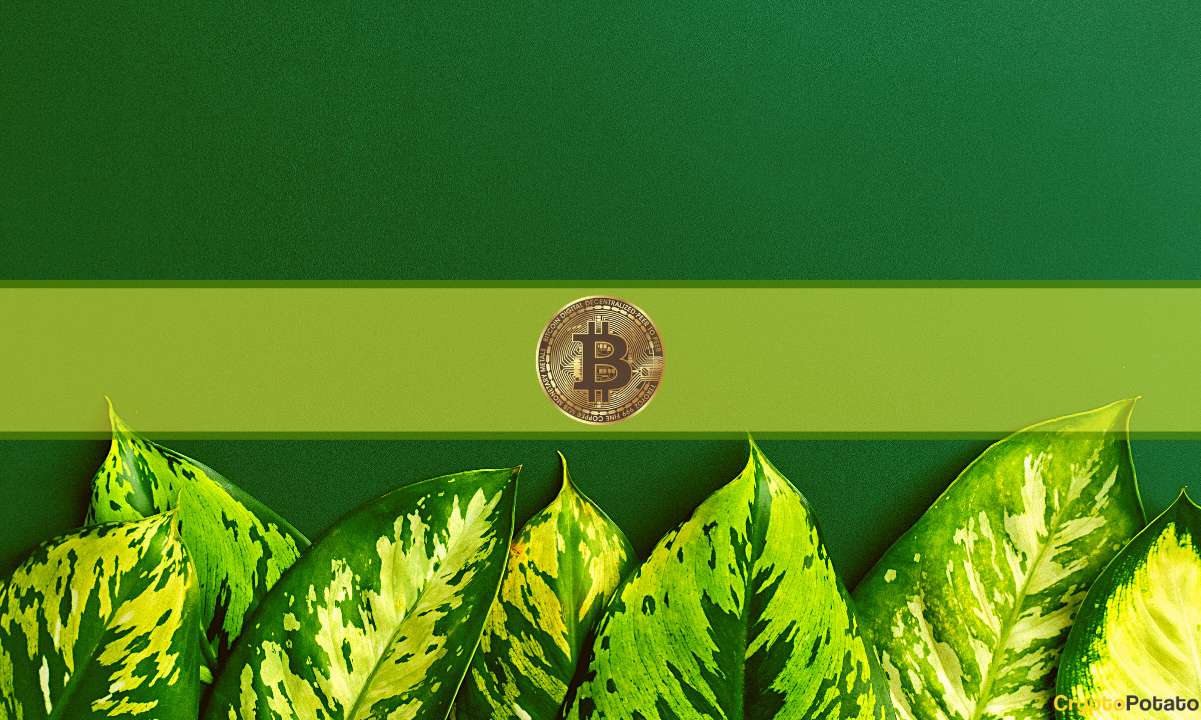 Bitcoin'in Bir Sonraki Hedefi 36.000 Dolara Yakın: Matrixport Verileri