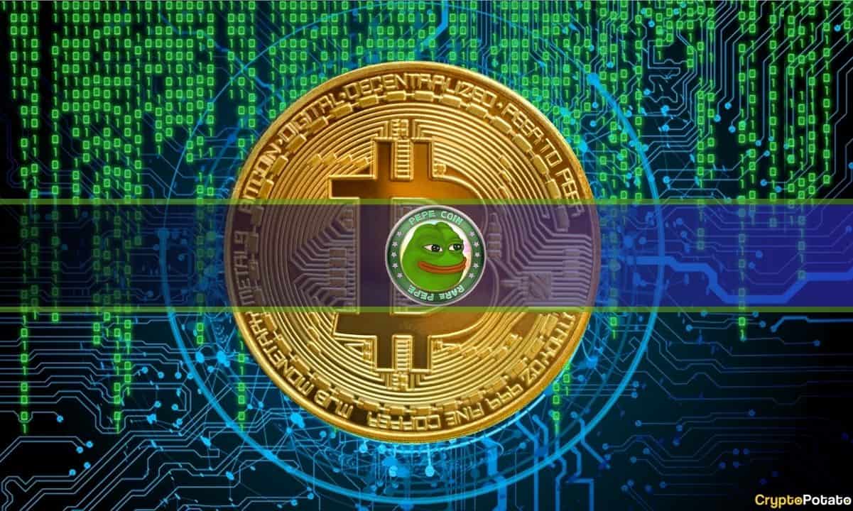 Bitcoin Kurbağalar, BTC Pepe Çılgınlığını Yakalarken 24 Saat Boyunca En Çok Satan NFT'yi Aldı