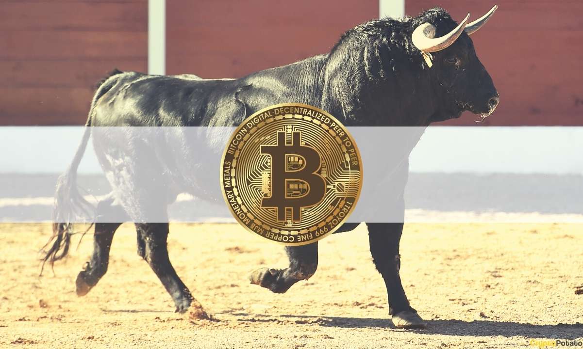 Glassnode Kurucu Ortağı