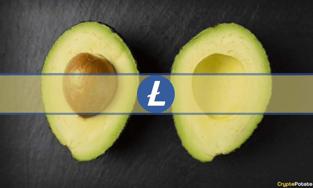 Litecoin, Yarılanmadan Önce Artan Ağ Etkinliğini Görüyor