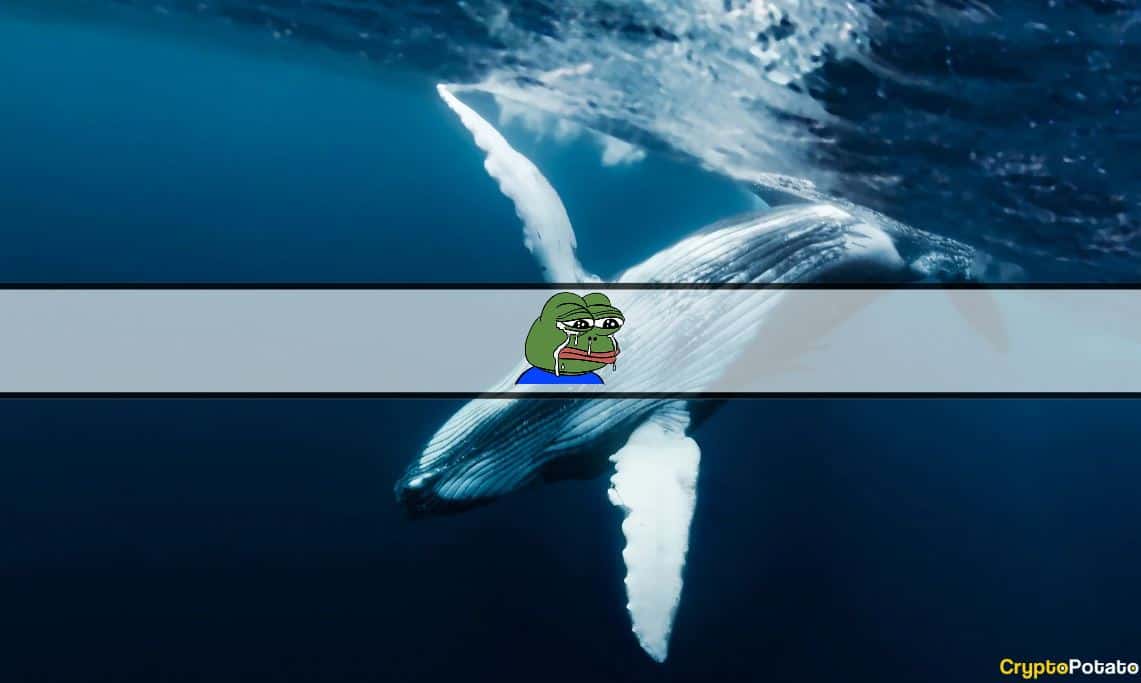 Meme Madeni Paraları Kanamaya Devam Ettikçe PEPE Balinaları Büyük Kayıplarla Satış Yapıyor