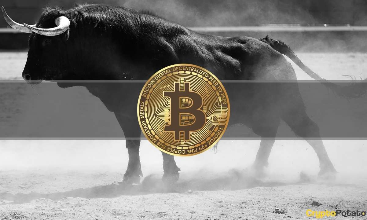 Bitcoin (BTC) Haftalık En Yüksek Seviyeye Çıkarken Neredeyse 100 Milyon Dolarlık Tasfiye