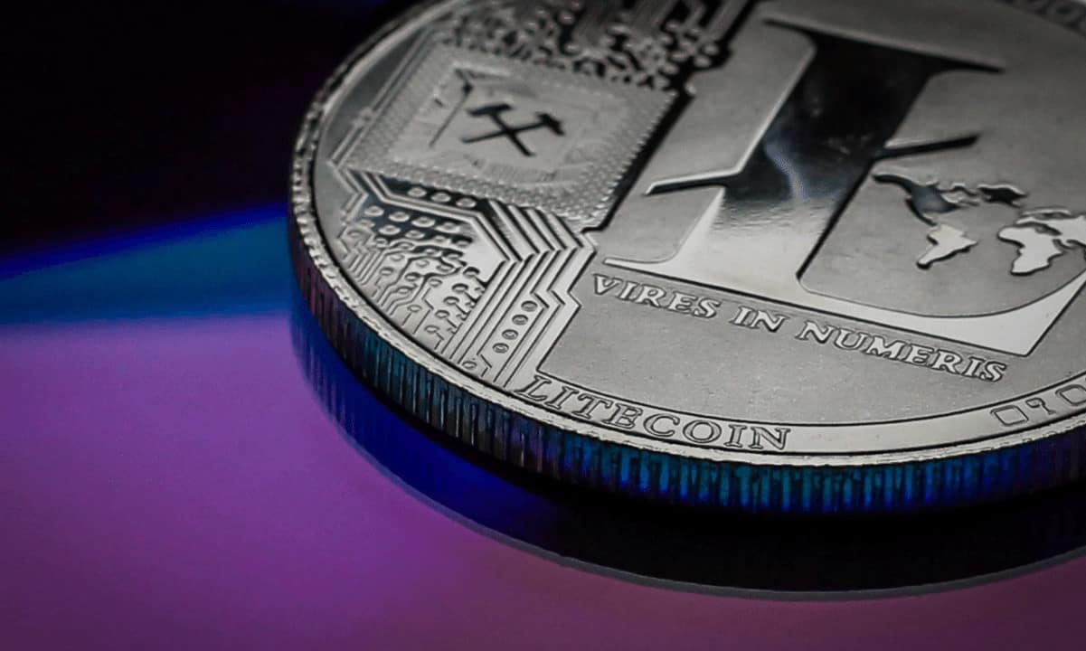 Dolaşımdaki tüm Litecoin'in (LTC) %13'ü 5 Yıldır Hareketsiz: Rapor