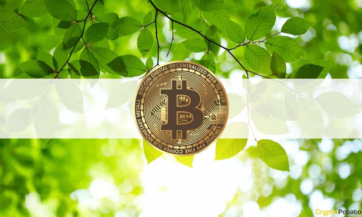 Bitcoin (BTC) Neden Bu Yıl %85 Arttı: 2023 2. Çeyrek İncelemesi
