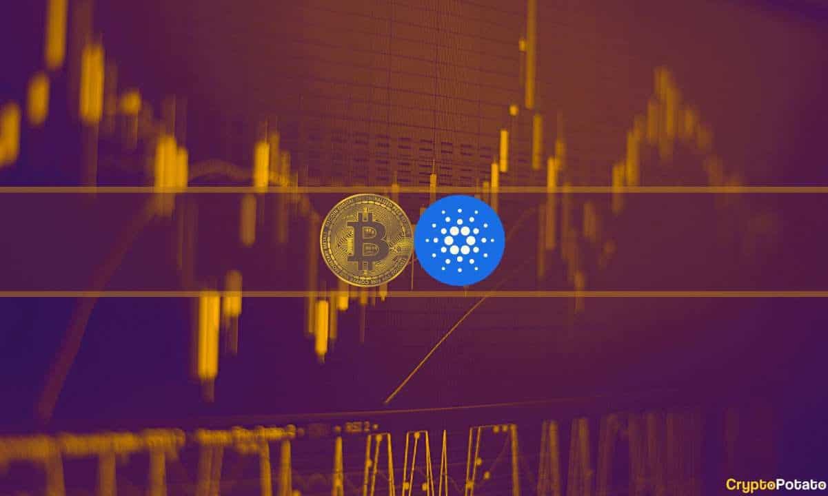 Hafta Sonu İzleme: Bitcoin (BTC) 30 Bin Doları Savunuyor, Cardano (ADA) Günlük %4 Düşüyor