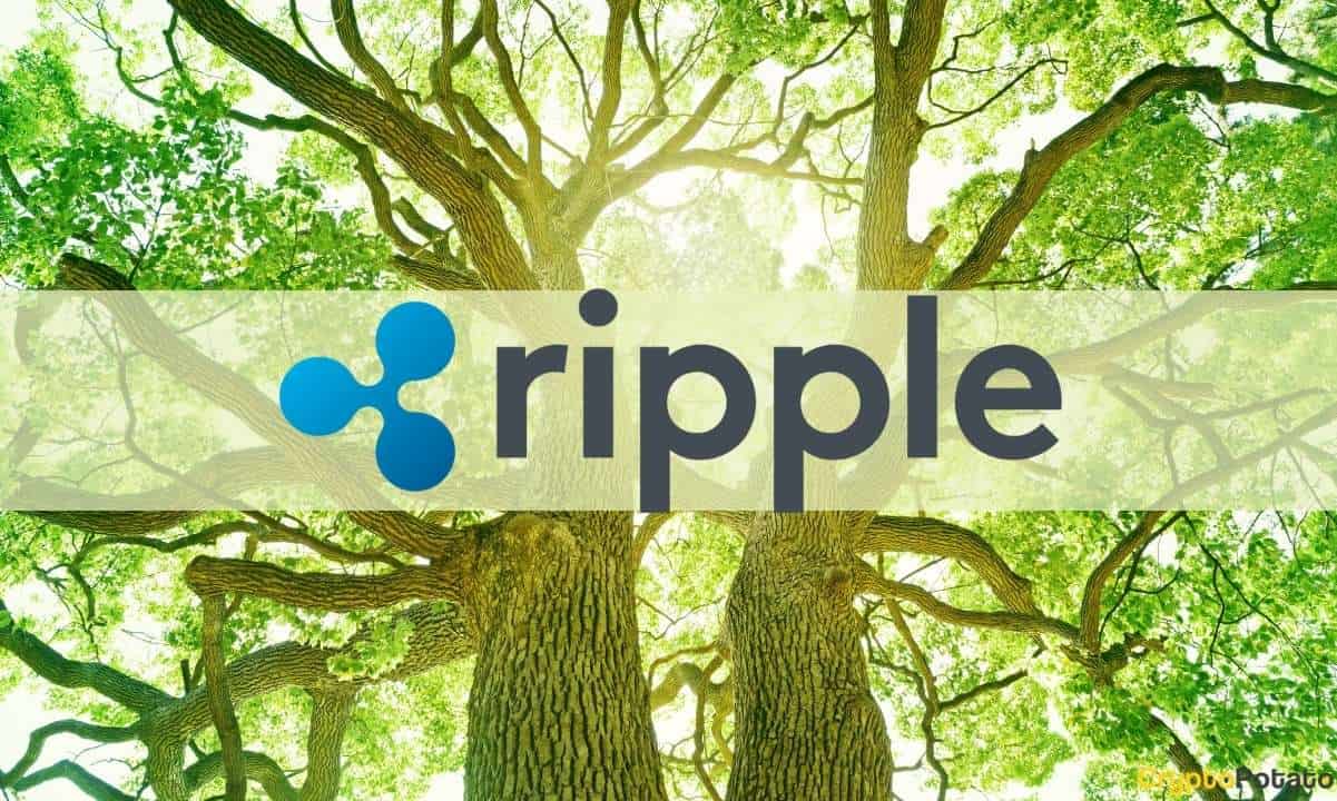 Ripple (XRP) Önümüzdeki Çeyrek ABD Bankacılık Sektöründen Müşteri Bekliyor
