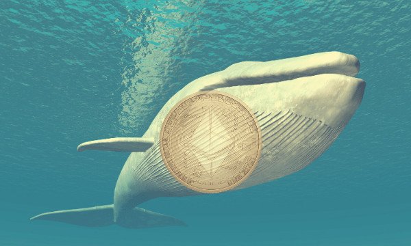 Bitcoin Whale ve Ethereum ICO Üyesi Borsalara 250 Milyon Dolarlık Varlık Yatırdı
