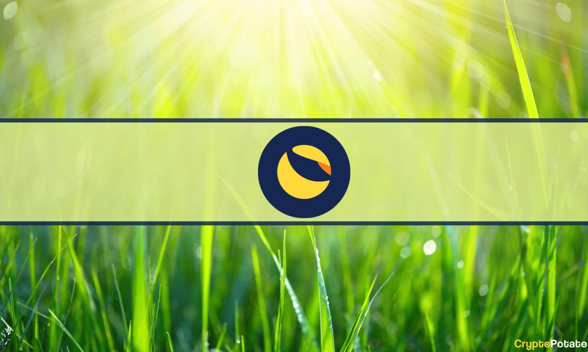 Bu, Terraform Labs'ın Yeni CEO'su Do Kwon'un Yerini Alan Kişi (Rapor)
