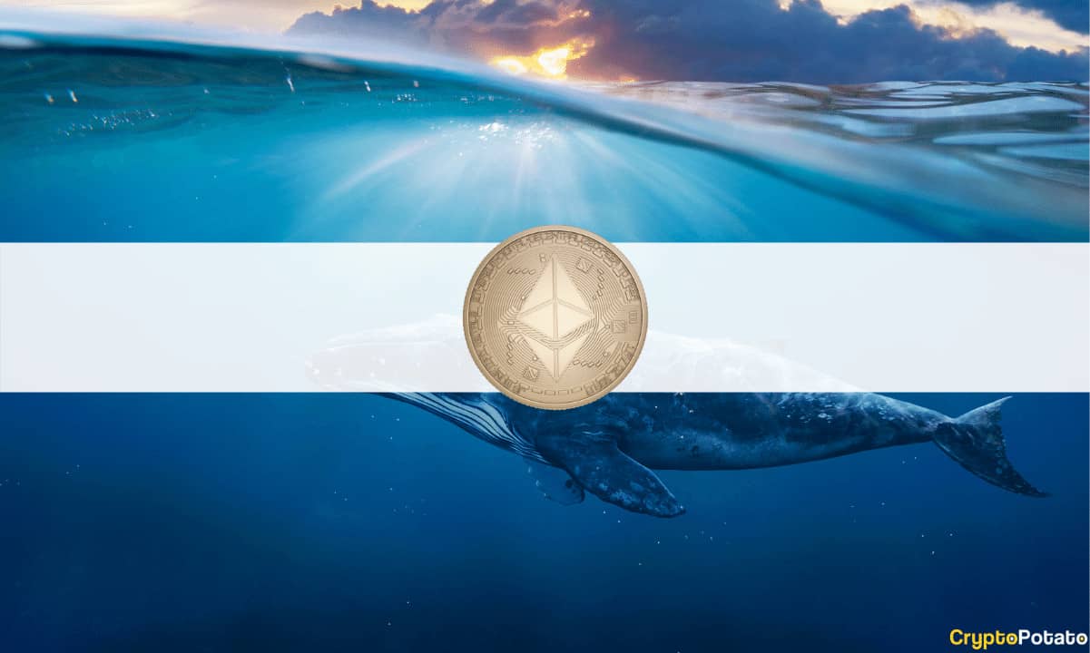 Kripto Balinaları, Son Piyasa Düşüşünün Ardından Ellerindeki Varlıkları Elden Çıkardı