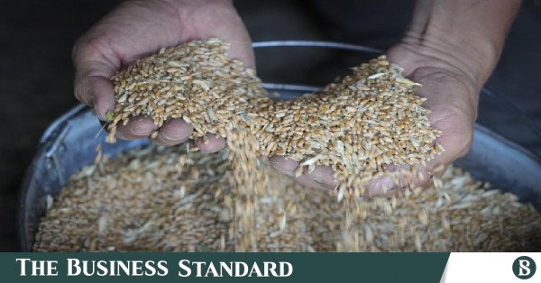BM, bir finansman krizi nedeniyle küresel olarak milyonlara gıda yardımını kesmek zorunda kaldığını söyledi