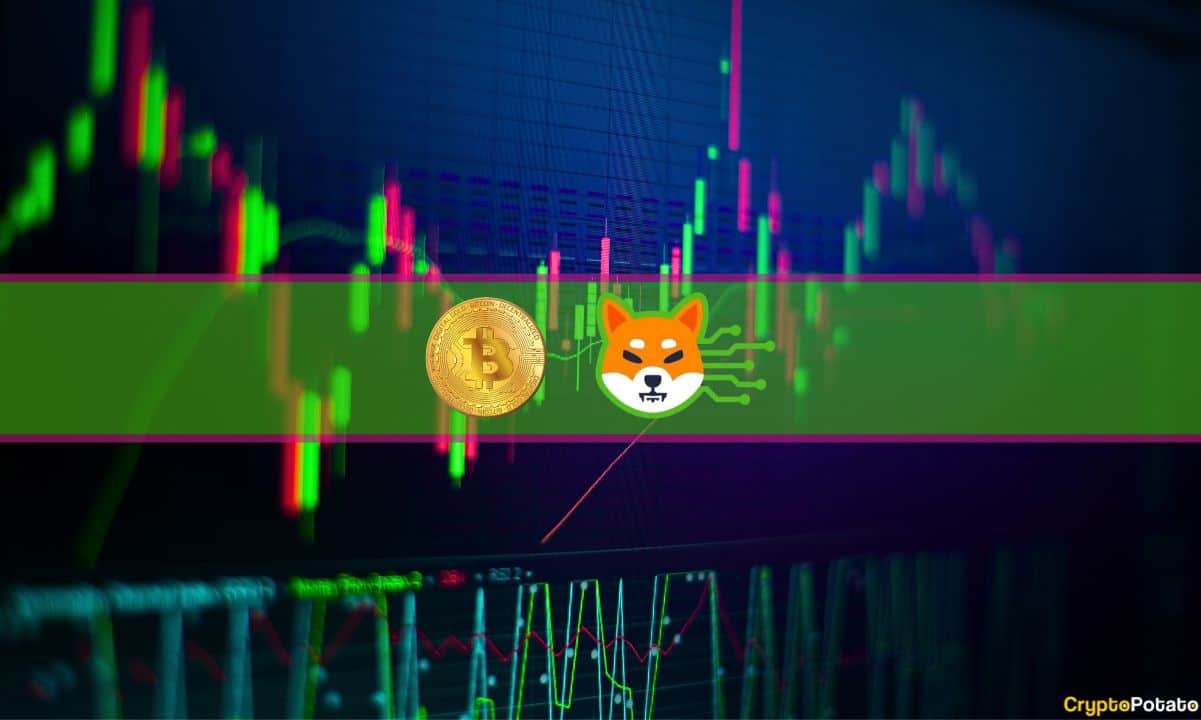 Shiba Inu (SHIB) Weekly İlk %12'yi Kazanırken Bitcoin 29.000 Dolara Sıkışıyor: Piyasa Gözlemi