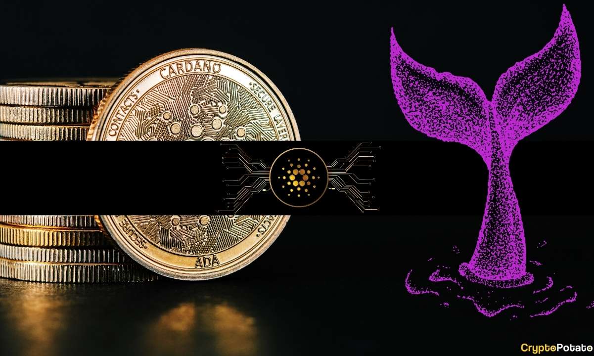 Cardano (ADA) Balinaları 0,30 Doların Altında Birikiyor: Ayrıntılar