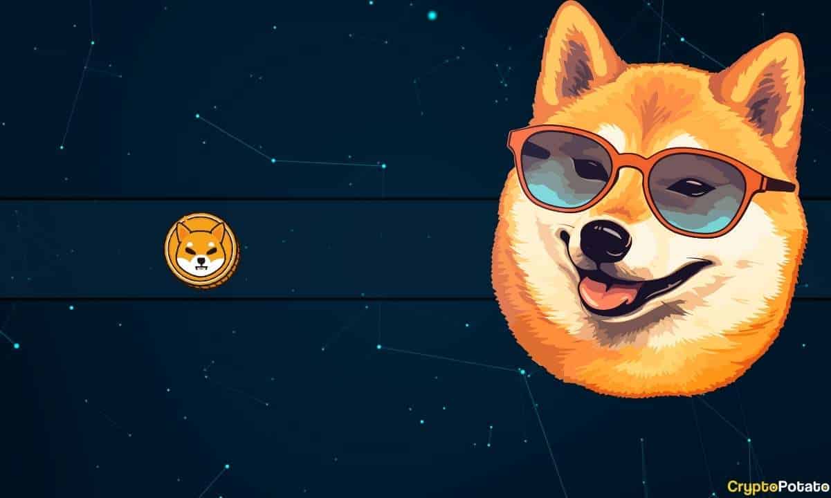 Shiba Inu (SHIB) Haftalık Fiyat Ücretini Önde Aldı, X ile Meme Savaşı İlan Etti