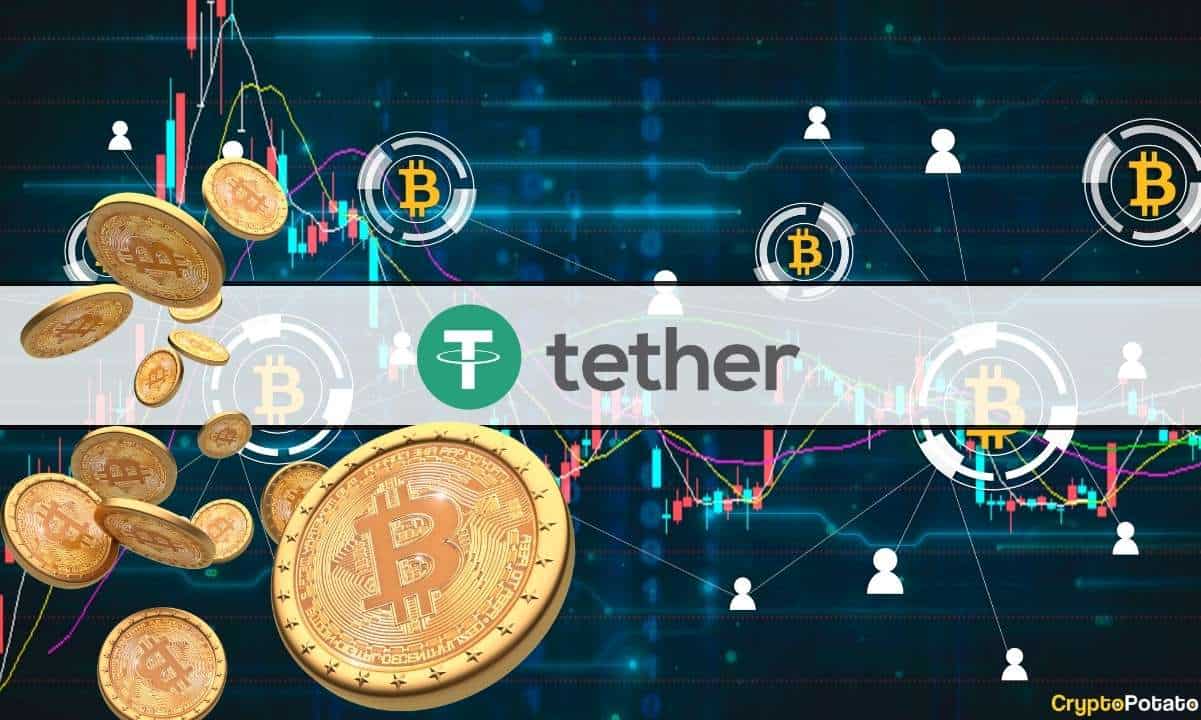 Tether Gerçekten En Büyük 11. Bitcoin Sahibi mi? CryptoQuant Cips Girişi