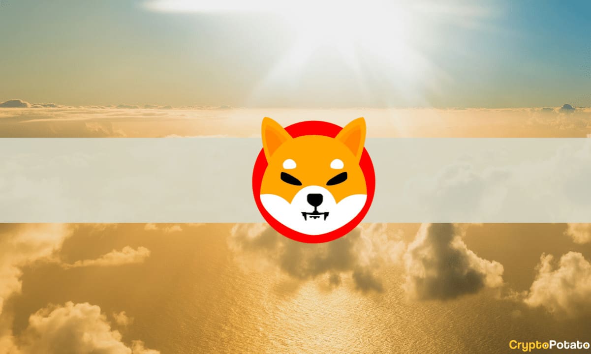 Shiba Inu 7 Günde %16 Arttı: Bu Haftanın Kripto Özeti
