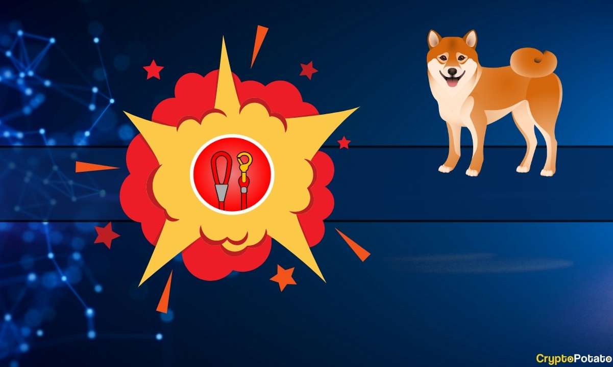 Shiba Inu'nun LEASH'i Büyük Borsada Listelendikten Sonra Patladı
