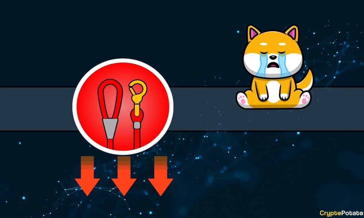 Shiba Inu'nun LEASH Token'ı Ezici Bir Duyuru Üzerine Daldı, Ama Daha Fazlası Var