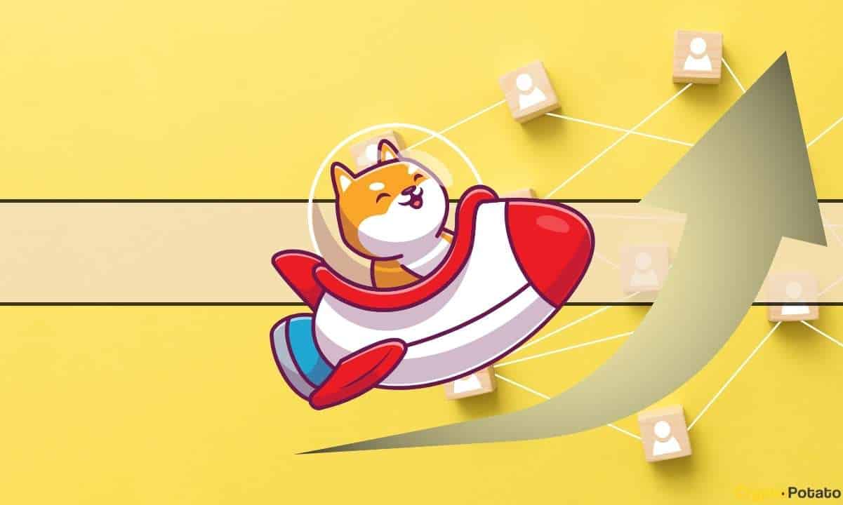 Analist Tahminleri Shiba Inu (SHIB) İçin %44'ün Üzerinde Ralli Yapıyor: Hedefleri Bulun