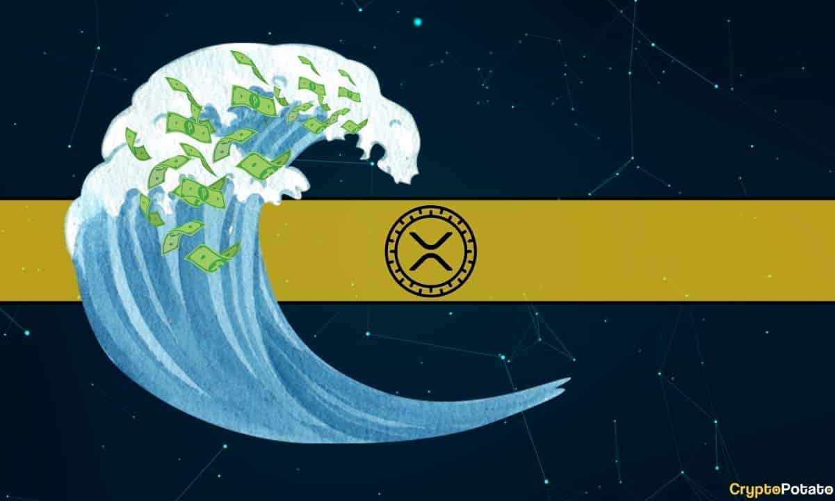 Bu Koşullar Altında XRP'ye Büyük Para Dalgası Akacak: Wall Street Veteran