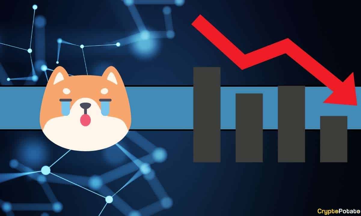 Shiba Inu (SHIB) Shibarium Lansmanına Rağmen Neden Çöküyor? 2 Olası Sebep