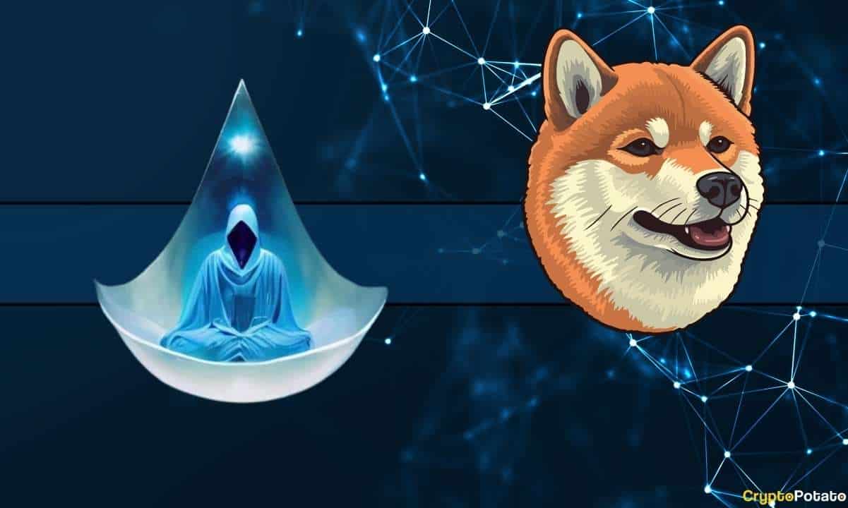 Shiba Inu Lider Geliştirici: Her şey yolunda, Köprü Sorunu Yok, Bu Shibarium Sorunlarına Neden Oldu