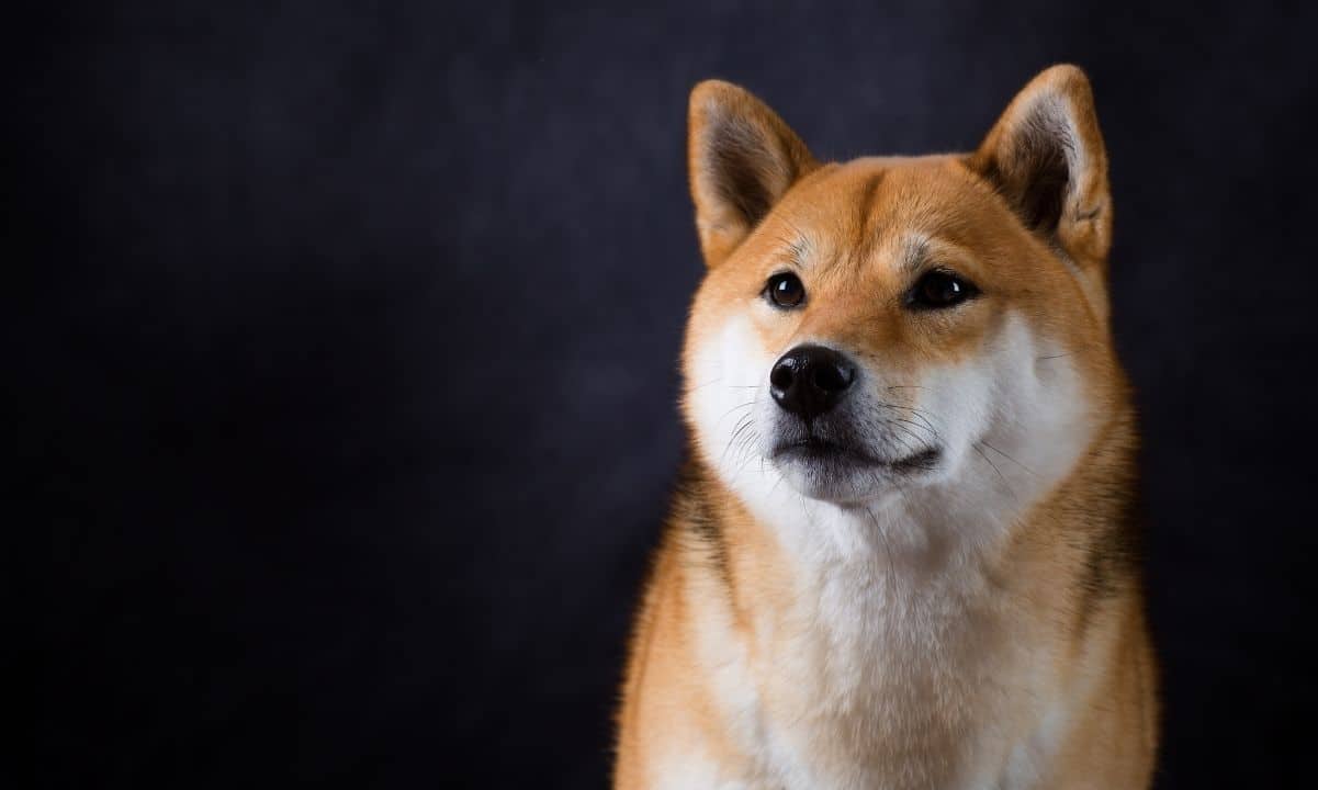 Shiba Inu'nun Shibarium'u 1. Günde Önemli Sorunlar Yaşıyor: Ayrıntılar