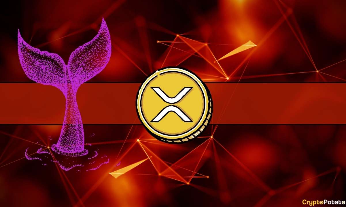 Başka Bir Ripple Çöküşü Yakın mı? Balina Milyonlarca XRP'yi Kore Borsasına Taşıdı