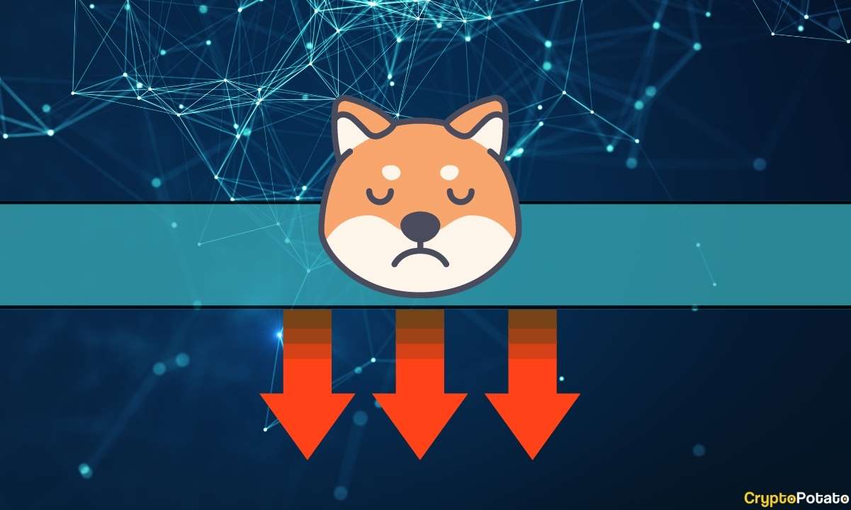 Shiba Inu (SHIB) Fiyatı %13 Düştü, Sırada Ne Var?