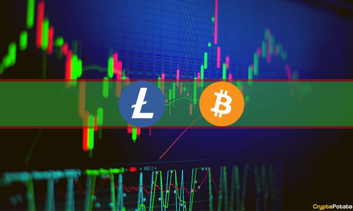 BTC Yeniden 26.000 Doların Altına Düştü, LTC, SHIB, XRP Haftalık %20 Düştü (Piyasa İzleme)