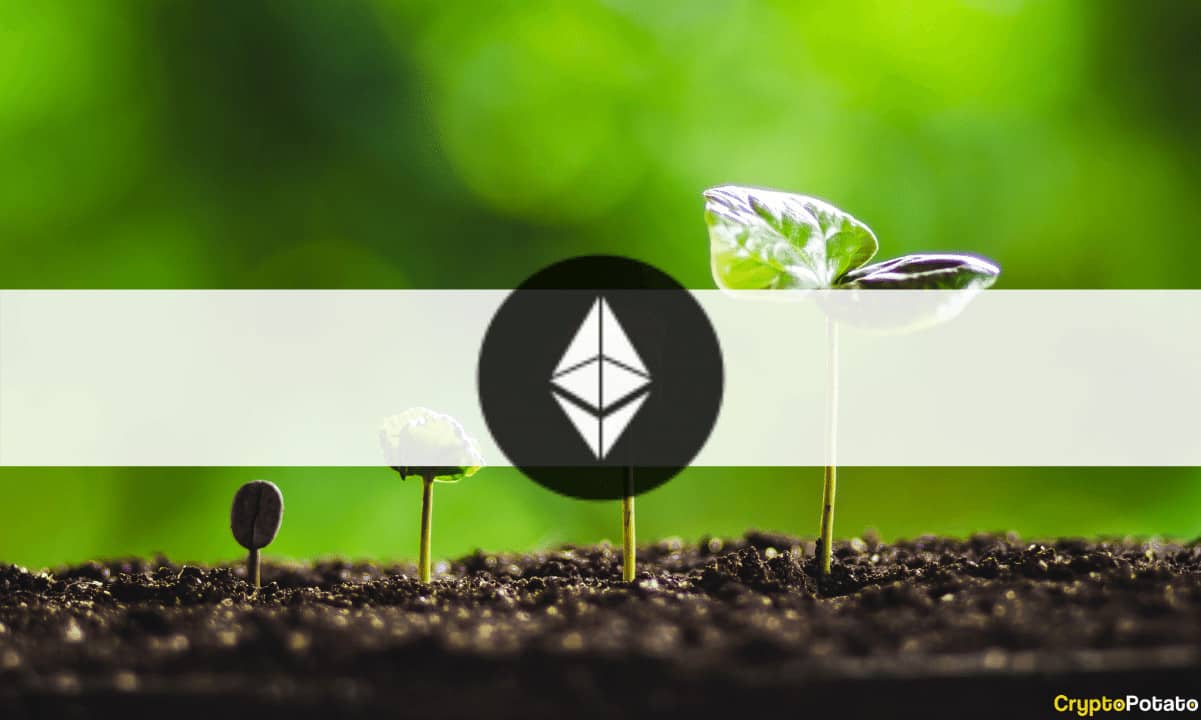 Ethereum Vakfı, Q2 Projesi ve Konferans Finansmanında 9 Milyon Dolar Duyurdu