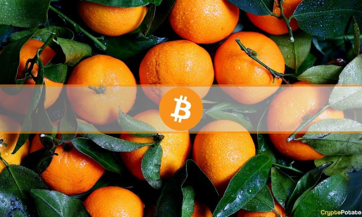 Turuncu Fiyatları 2020'den Bu Yana Yaklaşık Bitcoin Kadar Arttı