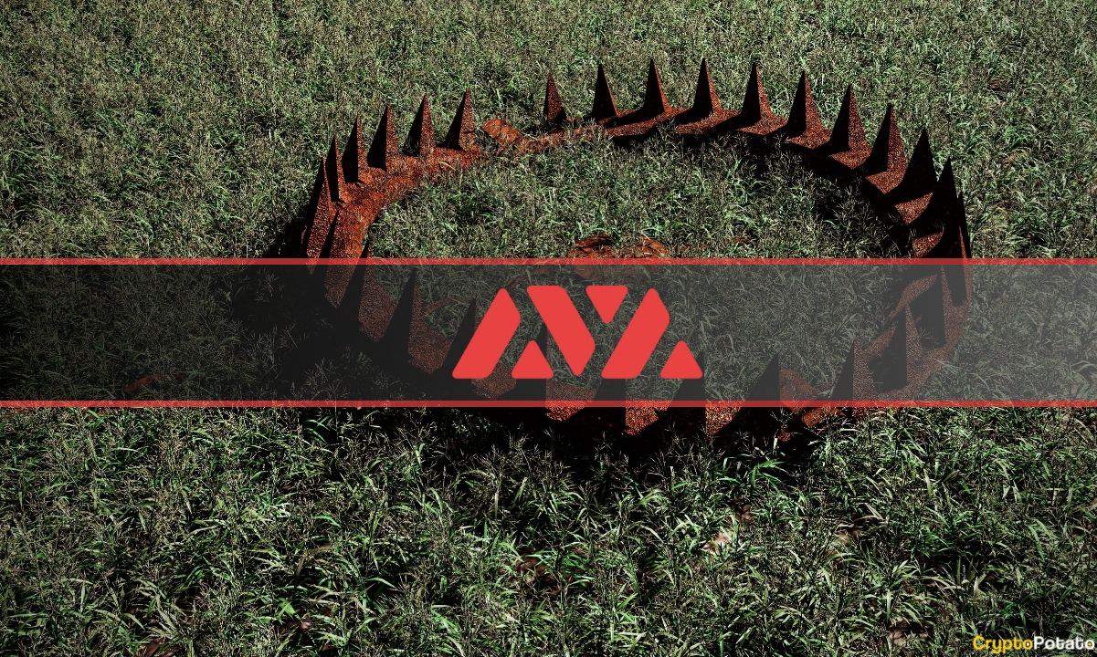Çığ Ayı Tuzağına Takıldı: AVAX Yatırımcılarının %99,5'i Tokenları Zararda Tutuyor