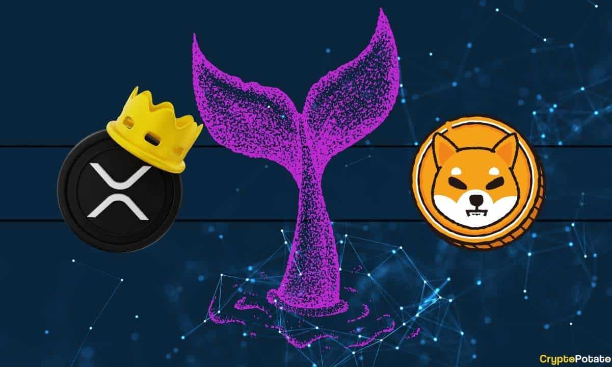 Balinalar Neden Milyonlarca Değerde XRP ve SHIB Alıyor?