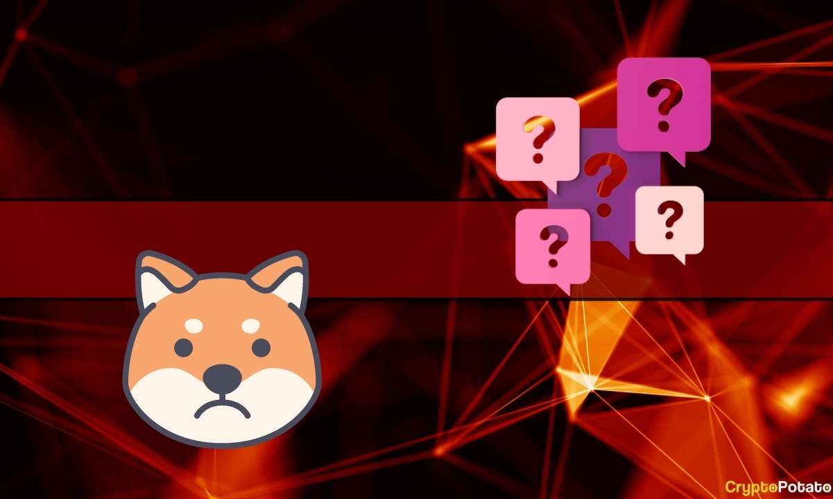 Shiba Inu (SHIB) Fiyatı 9 Ayda Bunu Yapamadı