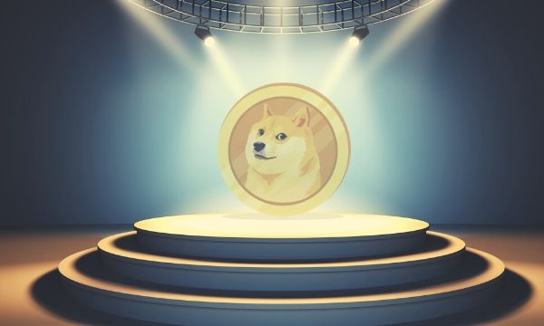 SlumDOGE Millionaire'in Dogecoin Servetinin Ne Kadarı Buharlaştı?