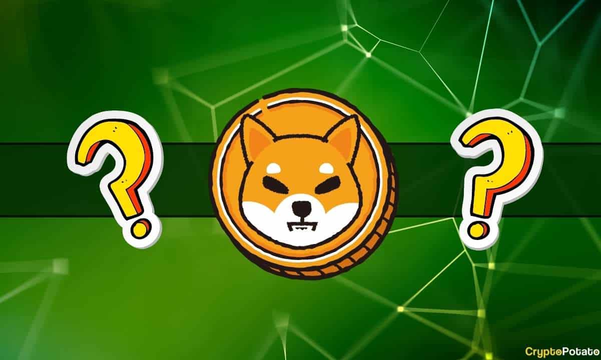 Shiba Inu, Shibarium'un Halka Açık Lansmanına Hazırlanırken SHIB'in Fiyatı Artacak mı?