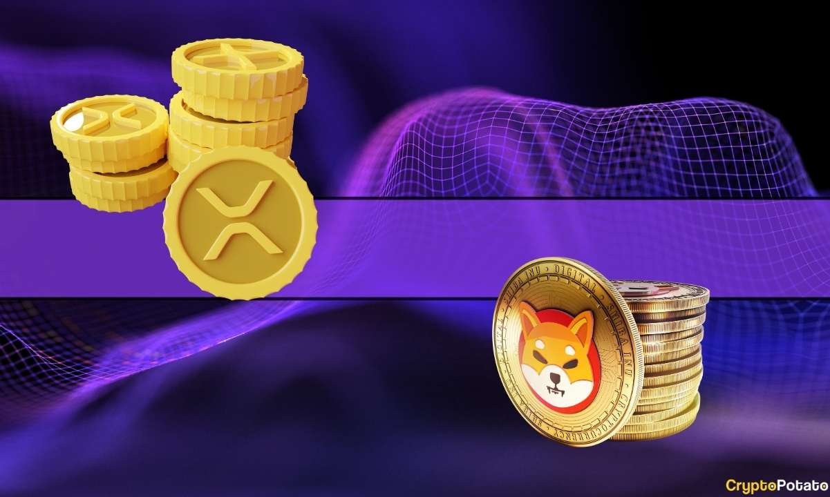 SHIB ve XRP Bu Lider Borsada En Çok İşlem Gören Coinler Arasında
