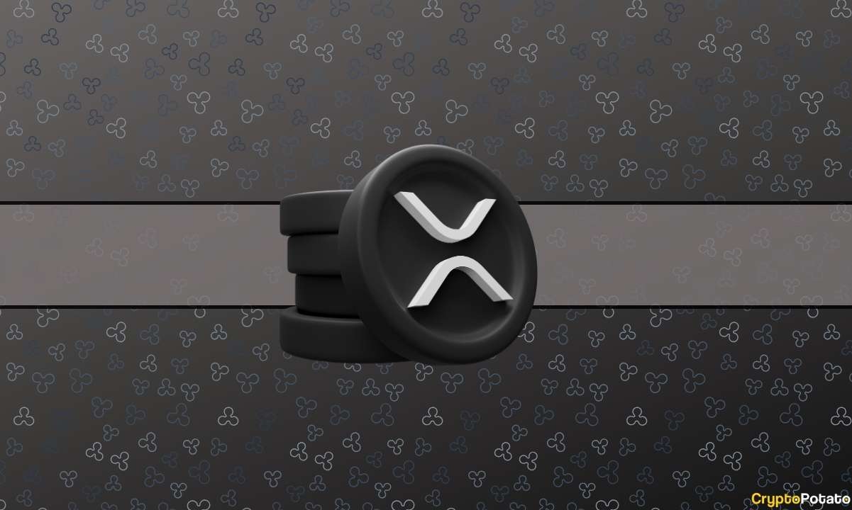 Rakamlarla Ripple (XRP): Önemli İstatistiklere Bir Bakış