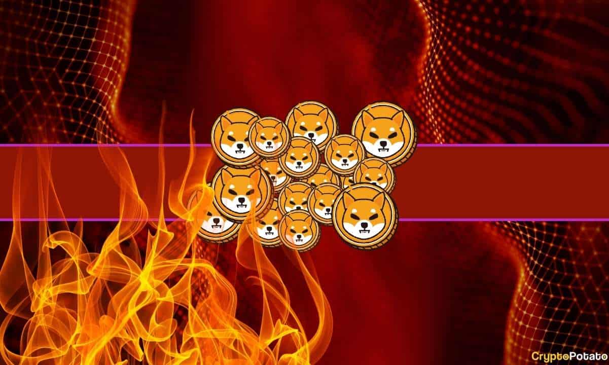 Shiba Inu (SHIB) Yakma Oranı Son 24 Saatte %821'e Çıktı