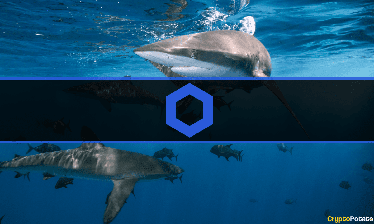 Chainlink Köpekbalıkları 3 Günde 9,6 Milyon Dolar Değerinde LINK Biriktirdi: Veriler