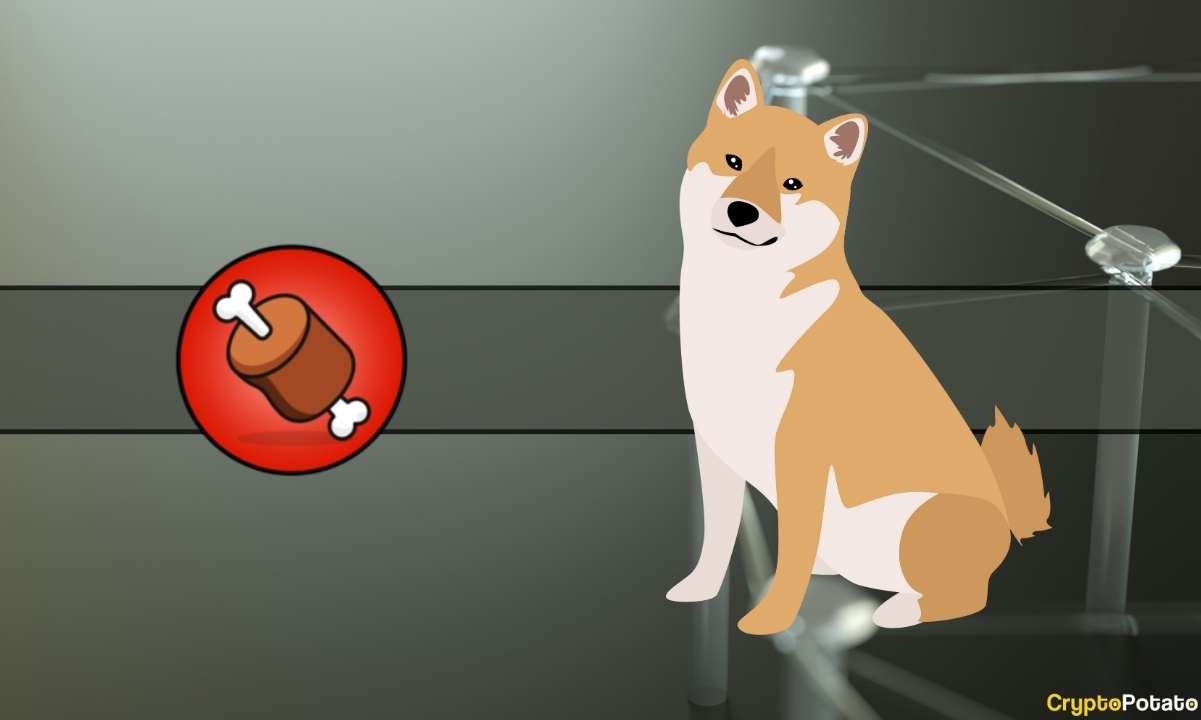 Bu Borsa Artık Shiba Inu'nun BONE'unun En Büyük Tek Sahibi