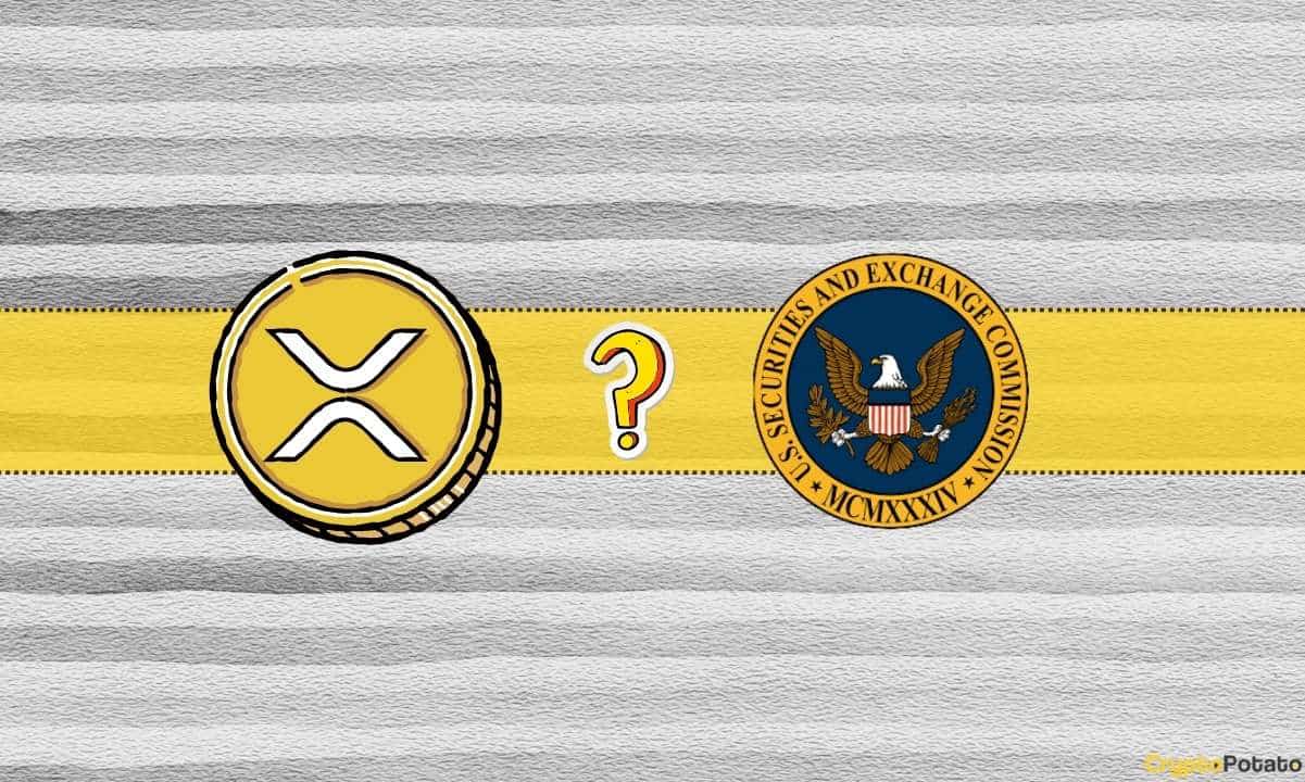 Ripple ve SEC Dava Güncellemesi 11 Eylül