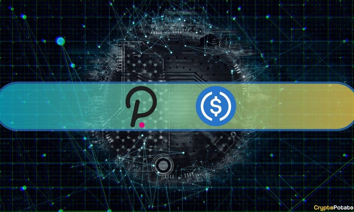 Circle'ın USDC Stablecoin'i Artık Polkadot Asset Hub'da Mevcut