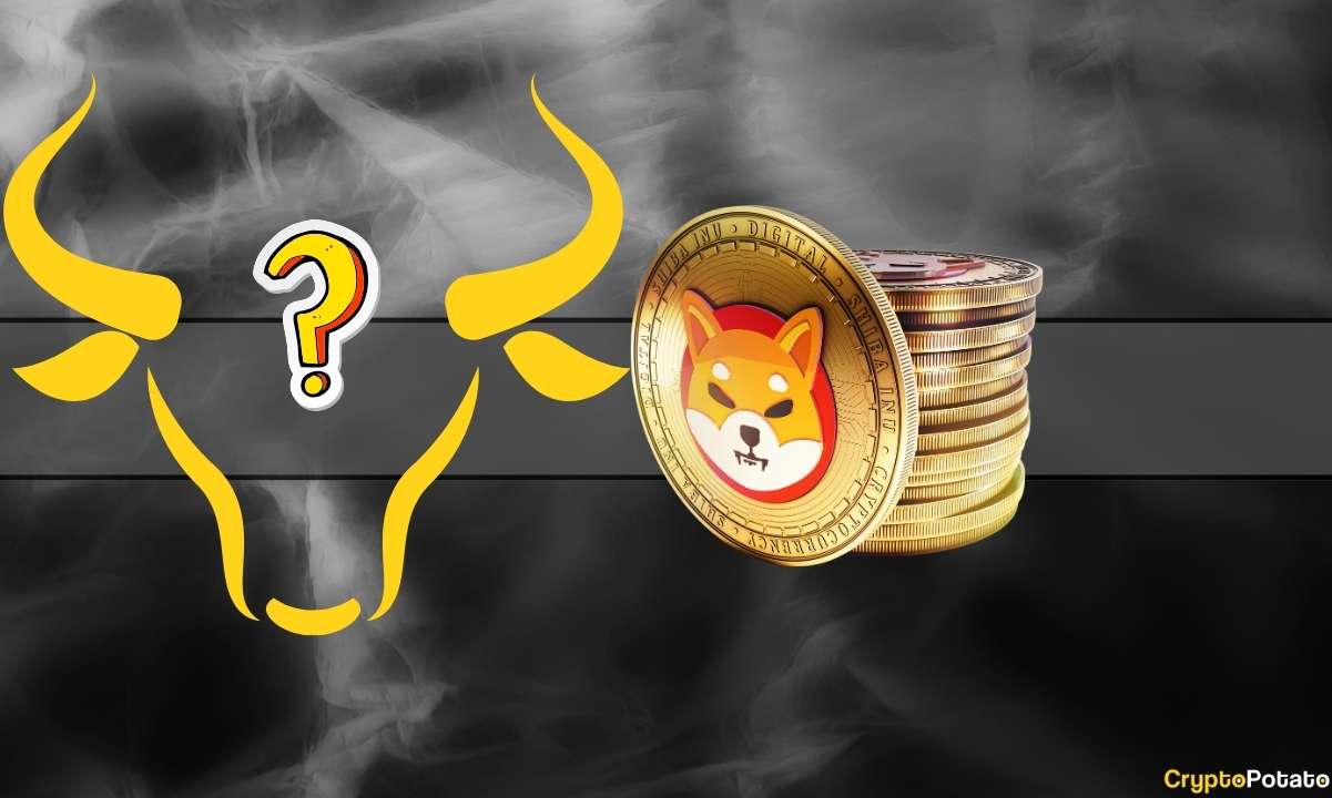 Shiba Inu (SHIB) Boğa Koşusunun Eşiğinde mi?