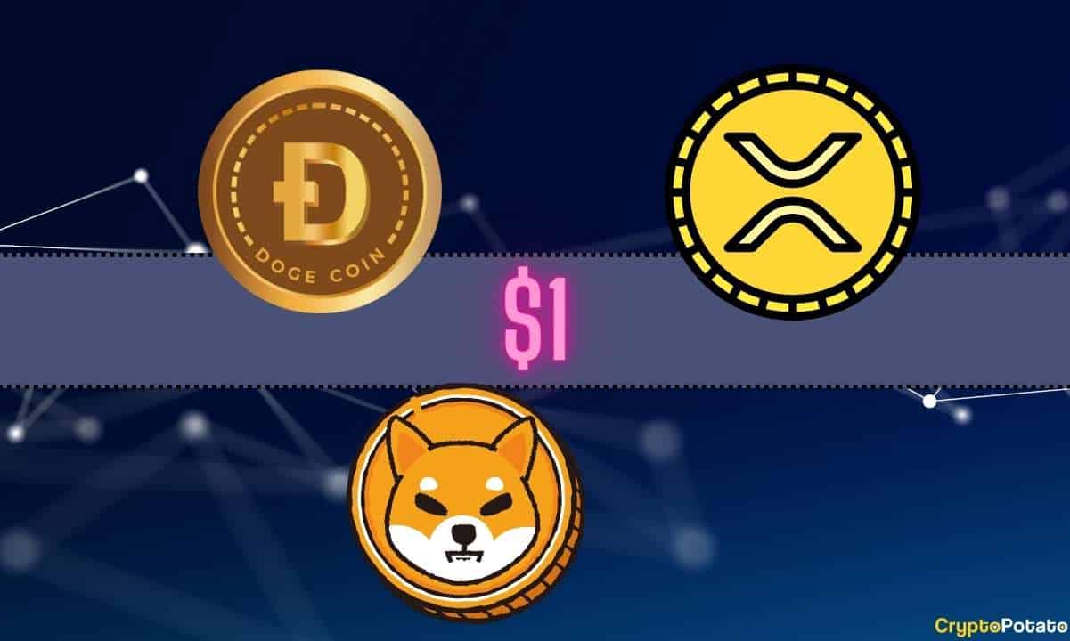 Hangi Kripto Para İlk Önce 1 Dolara Ulaşacak: Ripple (XRP), Shiba Inu (SHIB) veya Dogecoin (DOGE)?