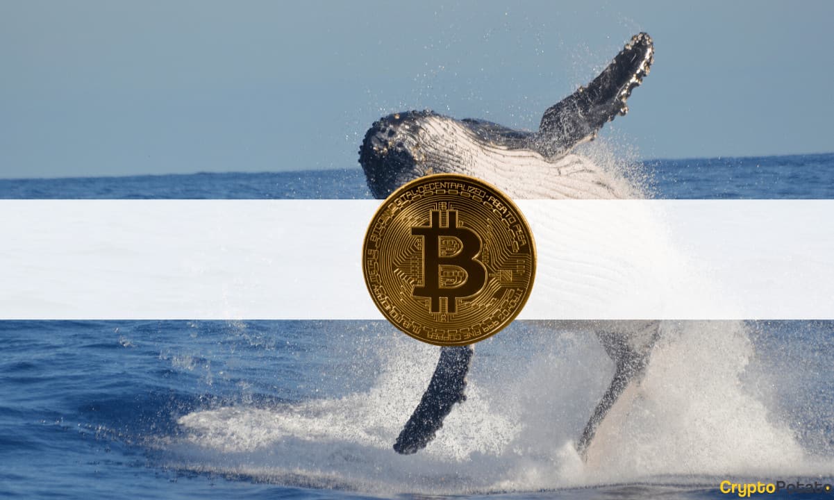 Sahte BlackRock ETF Haberleri Bu Kripto Balinasının Büyük Kaybetmesine Neden Oldu