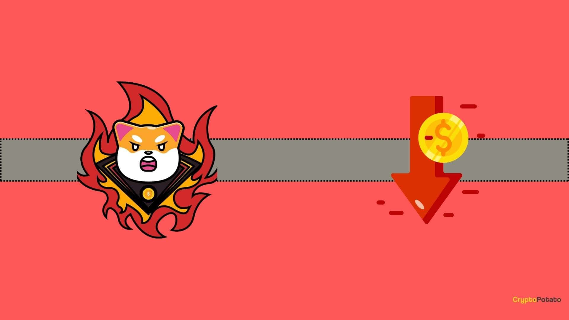 Çok Endişe Verici Shiba Inu (SHIB) İstatistiği: Endişelenmeli misiniz?