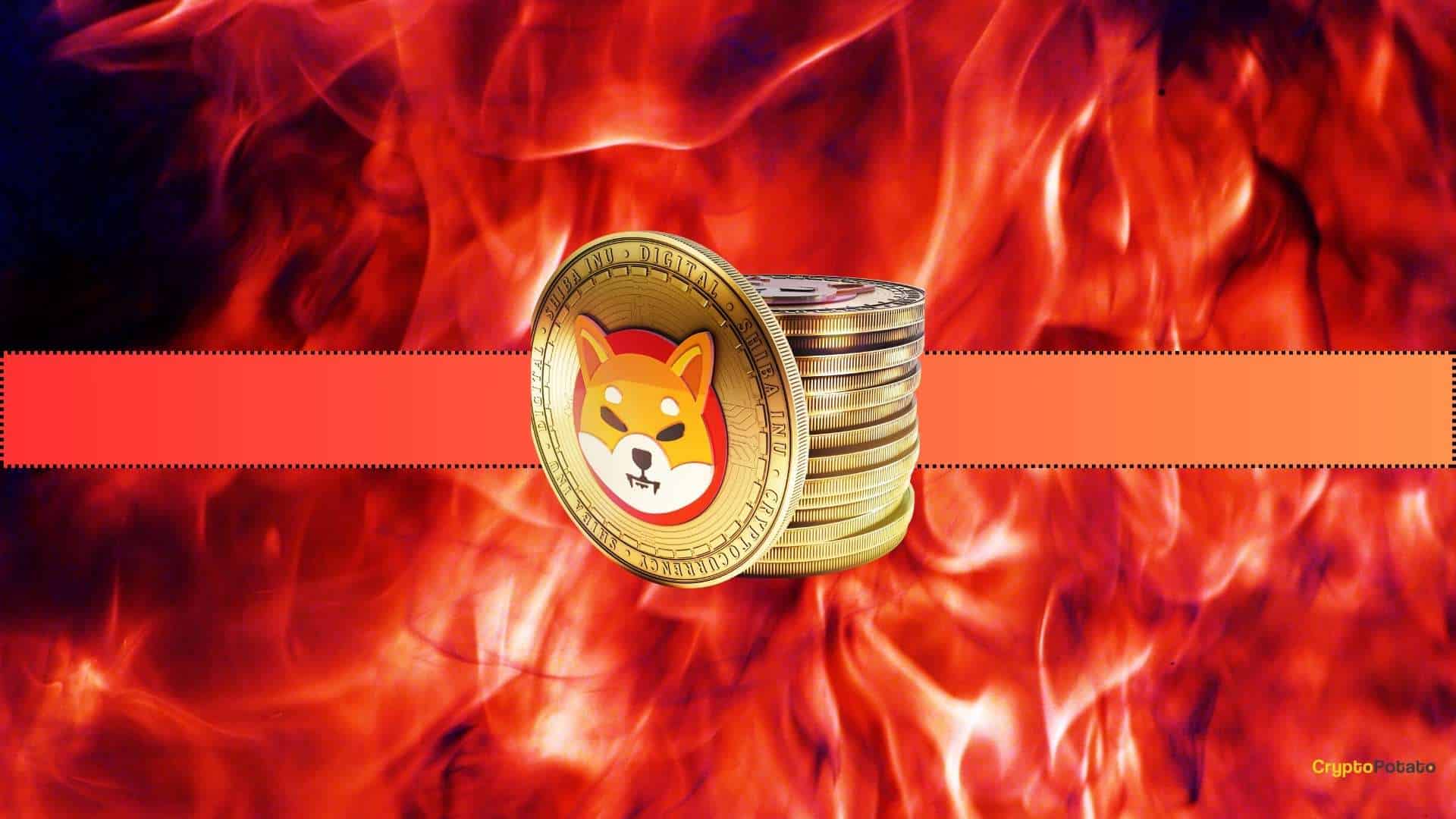 Boğa İşareti mi? Shiba Inu (SHIB) Yanma Oranı %250 Yükseldi