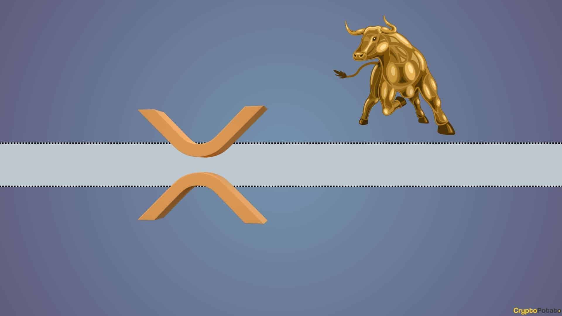 Wall Street Expert'e Göre Ripple'ın (XRP) Oldukça Yükseliş Sebebi